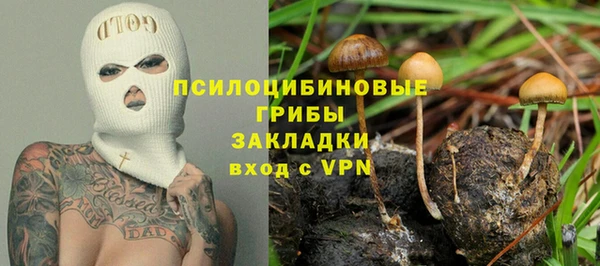 дживик Армянск