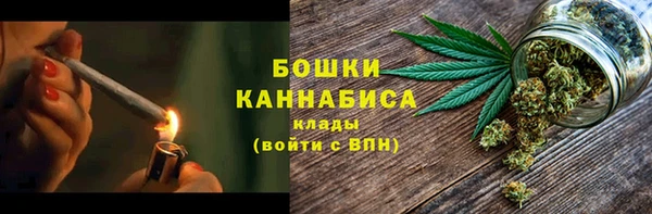 стафф Аркадак
