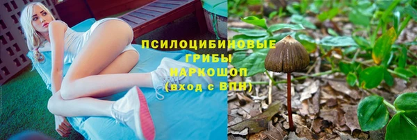 стафф Аркадак