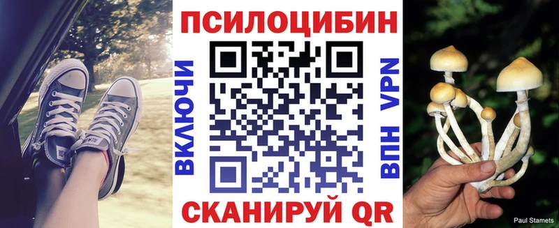 kraken ТОР  Тимашёвск  Псилоцибиновые грибы GOLDEN TEACHER 